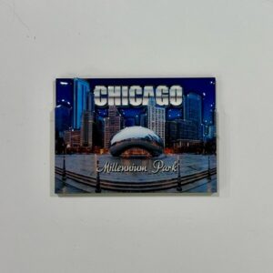 Millennium Park Magnet