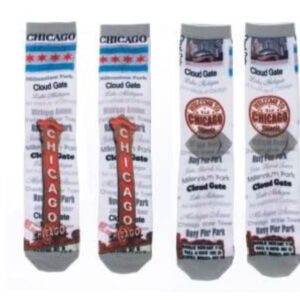 Chicago Landmark Socks