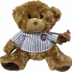 Teddy bear in Chicago Cubs baseball team tshirt