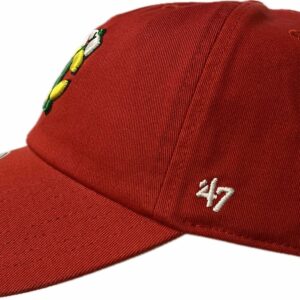 Chicago Blackhawks embroidery logo cap in red