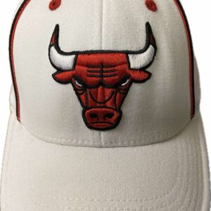 Chicago Bulls embroidery logo kid hat with stretchy band