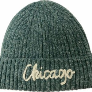 Chicago thick ribbed knit beanie in heather green