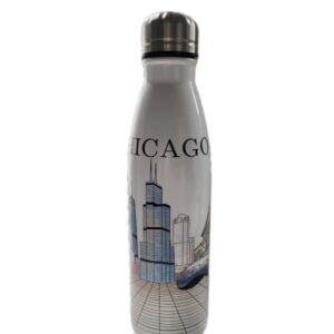 Insulated stainless steel to go bottle White