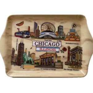 Chicago illinois hotdog tray