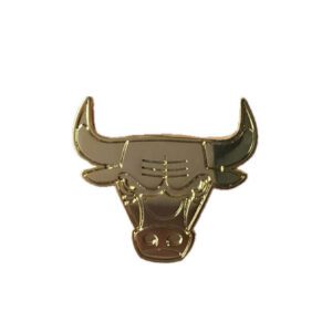 Chicago Bulls Team logo shinny pin