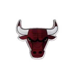 Chicago Bulls team logo acrylic pin
